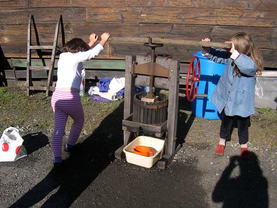 Cider Pressing